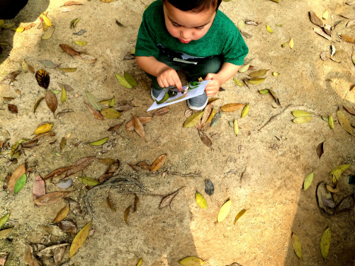 The Play&Grow programme connects preschool children to nature